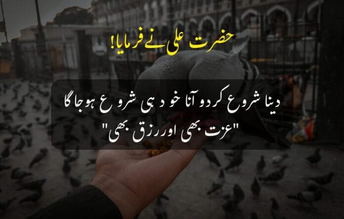 A picture of a man feeding pigeons in an open area with Hazrat Ali (R.A) quote in Urdu