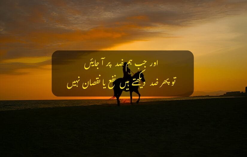 "Silhouette of a rider on horseback at sunset, with Urdu text overlay reading.