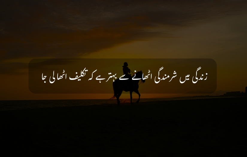 Man riding a horse in silhouette Sunset and sunrise on the beach Best Urdu quote