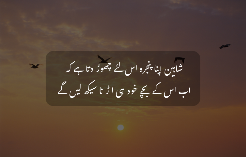 Birds flying at sunset with Urdu quote text about courage and growth.