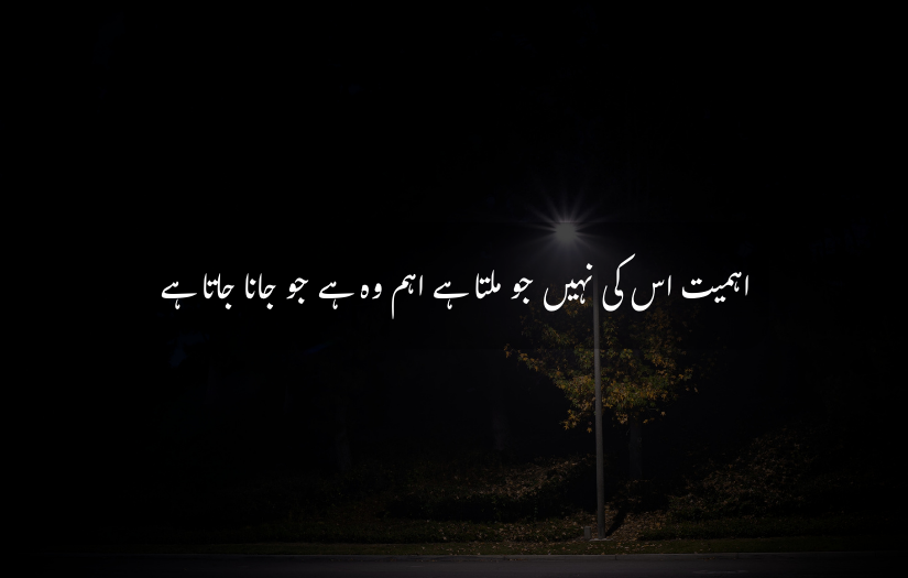 A solitary streetlight with Urdu quote on importance and loss.