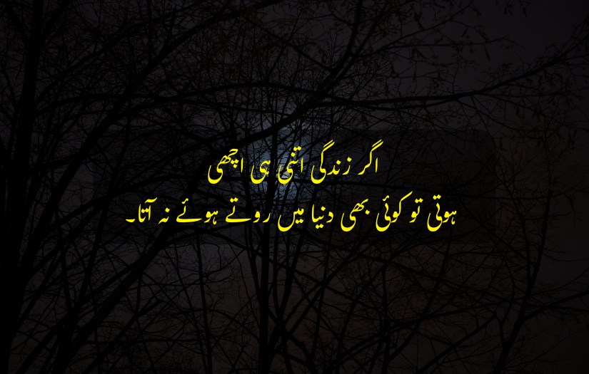 "Urdu text on life with dark trees and moonlit background."